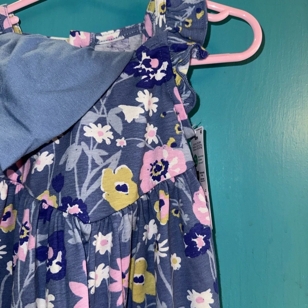 Carter's Blue and Pink Floral Dress - Picture 3 of 6